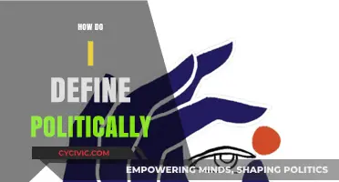 Defining Political Identity: Navigating Beliefs, Values, and Civic Engagement