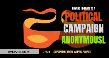 Donating to Political Campaigns: Anonymity and its Legal Limits