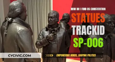 US Constitution Statues: TrackID SP-006 Explained