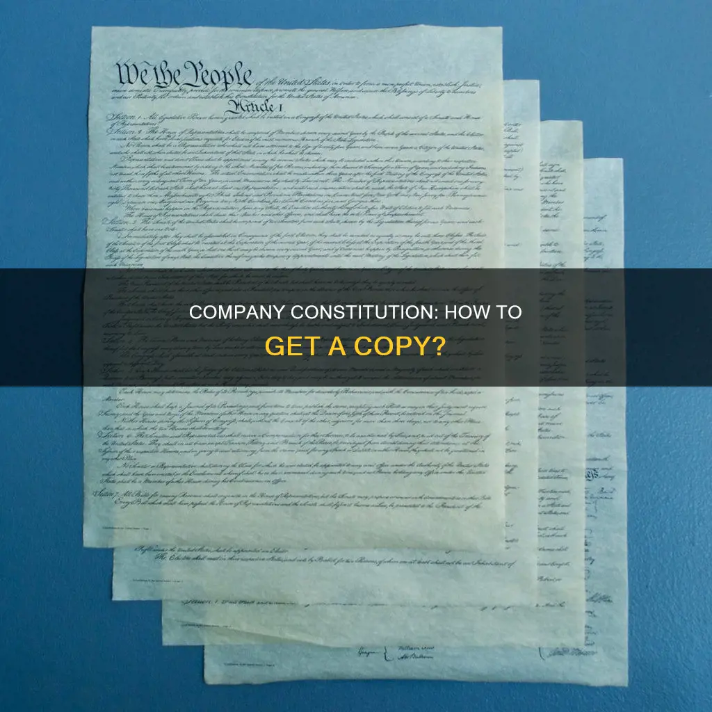 how do i get a copy of a company