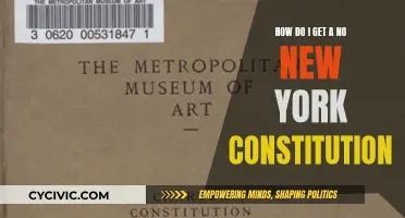 New York Constitution: What's the Hold Up?