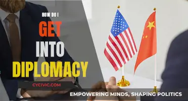 Breaking into Diplomacy: A Guide to Getting Started