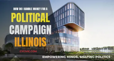 Managing Political Campaign Finances in Illinois: A Guide
