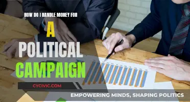 Managing Money for Political Campaign Success