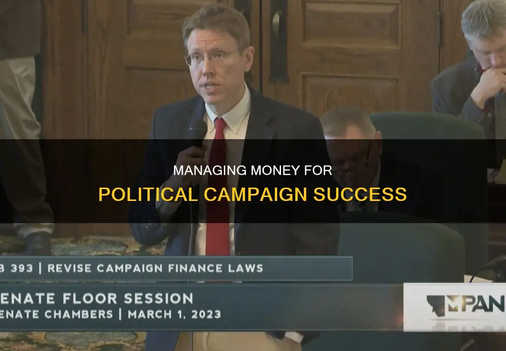 how do i handle money for a political campaign