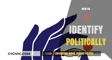 Discovering Your Political Identity: A Guide to Self-Reflection and Alignment