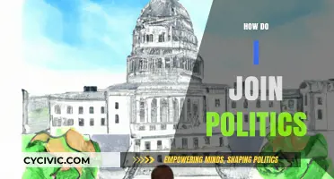 Your Political Journey: Steps to Enter and Succeed in Politics