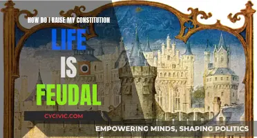 Increasing Constitution in Life is Feudal: Tips and Tricks