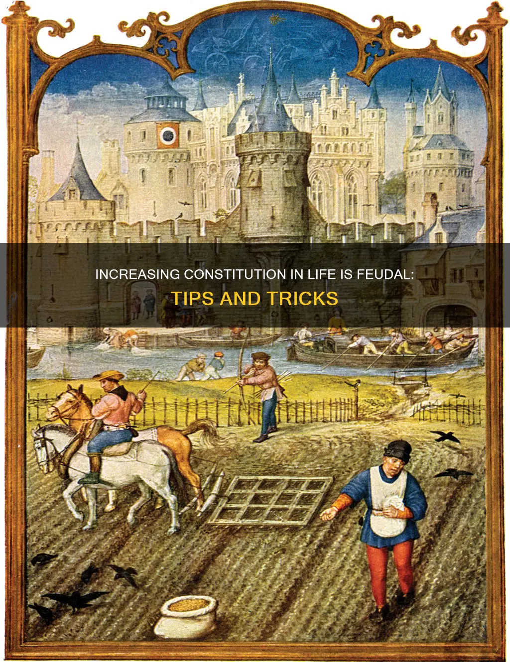 how do i raise my constitution life is feudal