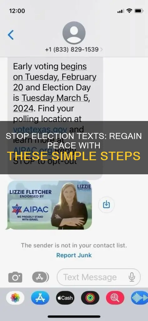 how do i stop election texts