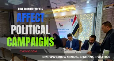 Independents' Influence: Shaping Political Campaigns