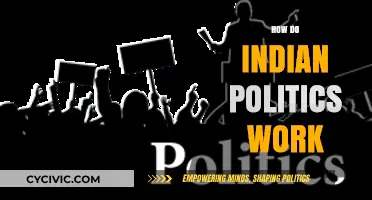 Understanding India's Political System: Democracy, Parties, and Governance Explained