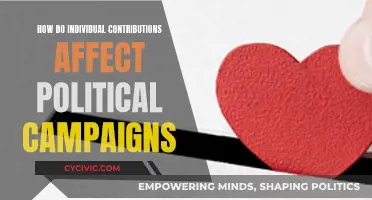 Individual Donations: Political Campaign Influence Explored