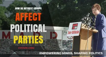 Interest Groups' Influence: Shaping Political Parties' Agendas and Strategies