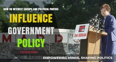 Interest Groups and Political Parties: Shaping Government Policy Dynamics