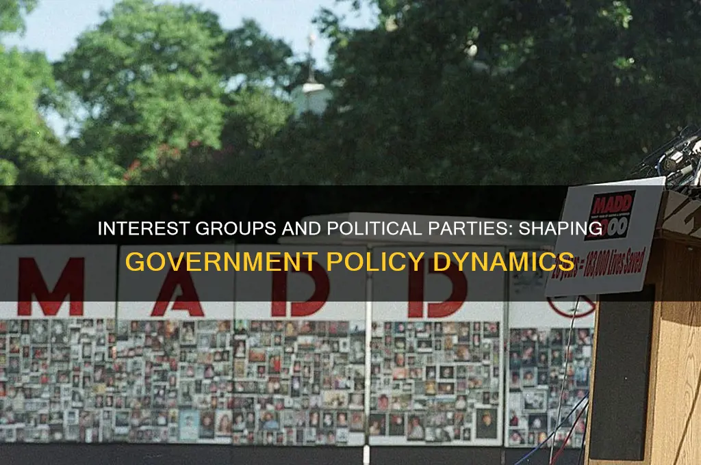 how do interest groups and political parties influence government policy