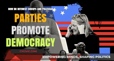 Interest Groups and Political Parties: Strengthening Democracy Through Advocacy and Engagement