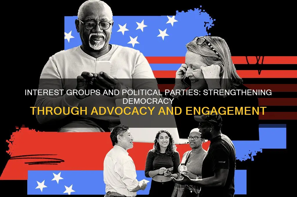 how do interest groups and political parties promote democracy
