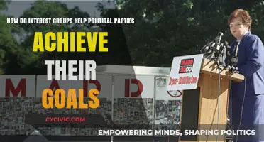 Interest Groups: Strategic Allies in Political Parties' Goal Achievement