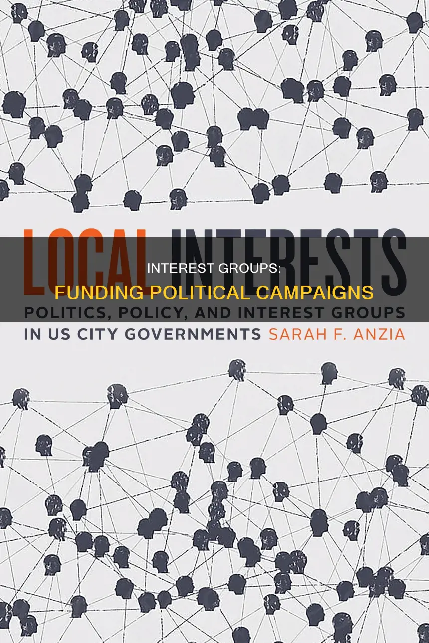 how do interest groups help to fund political campaigns