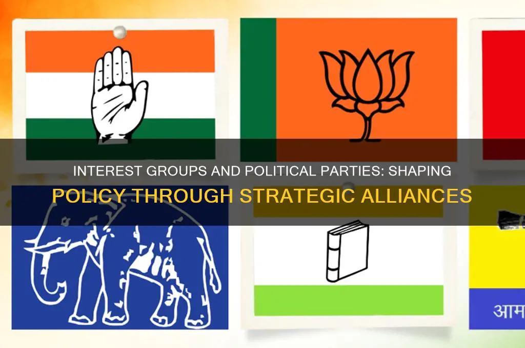 how do interest groups interact with political parties