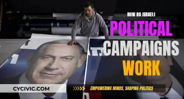 Israeli Political Campaigns: Strategies and Secrets