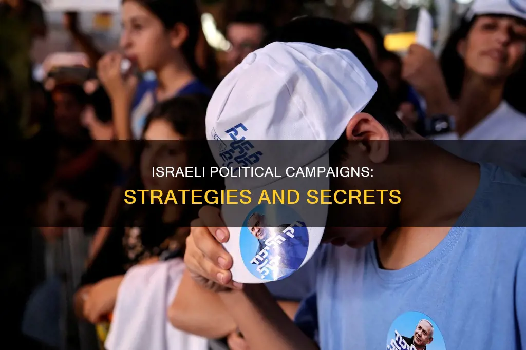 how do israeli political campaigns work