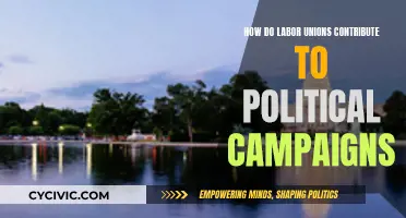 Labor Union Power: Political Campaign Contributions