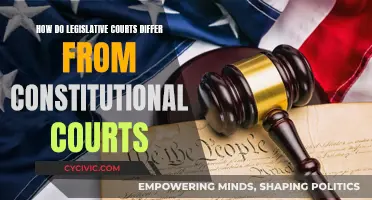 Legislative vs Constitutional Courts: What's the Difference?