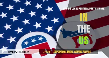 Understanding Local Political Parties in the US: Structure, Roles, and Impact