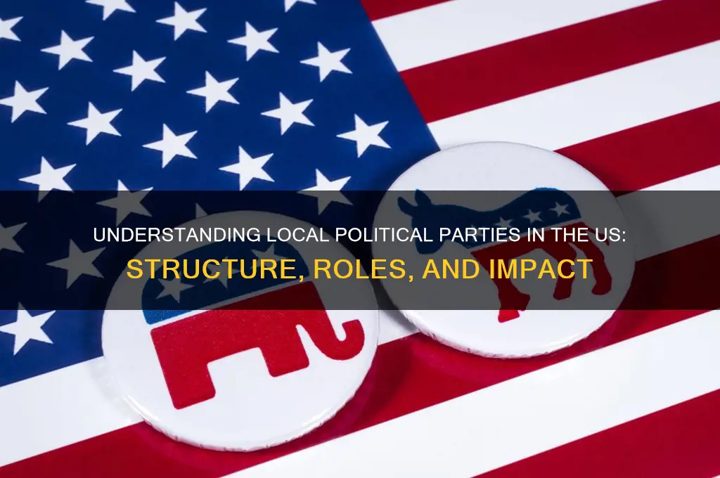 how do local political parties work in the us