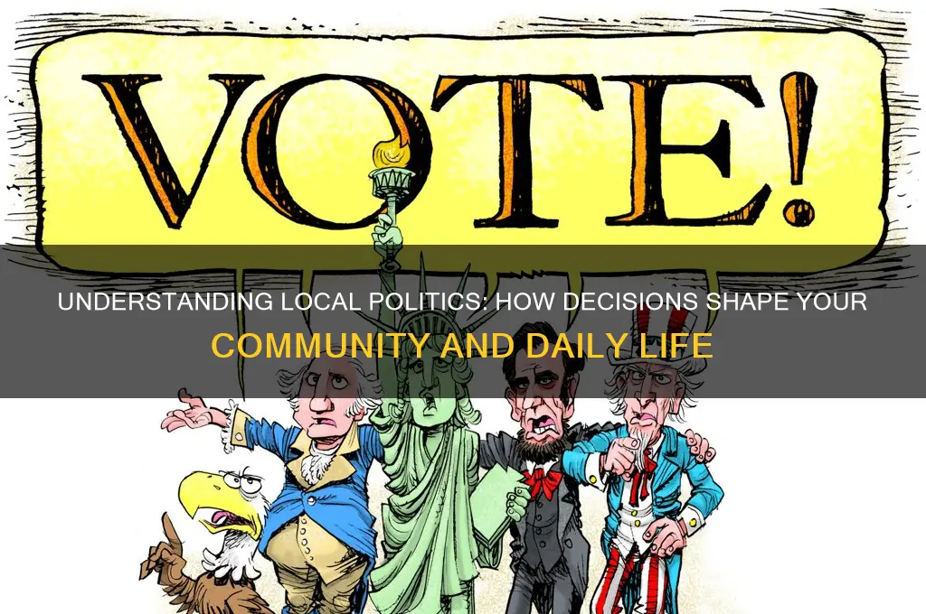how do local politics work