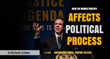 Minor Parties' Major Impact: Shaping Political Processes and Outcomes