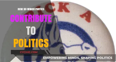 Minor Parties' Major Impact: Shaping Political Discourse and Democracy