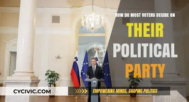 Understanding Voter Choices: How Most Decide Their Political Party