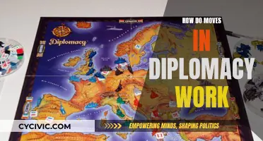 Understanding Diplomatic Moves: Strategies and Rules of Engagement
