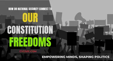 Protecting Our Freedoms: National Security and the Constitution