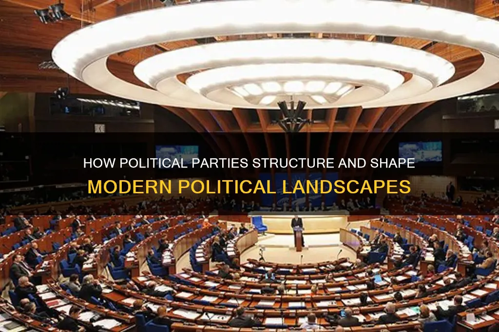 how do parties organize politics