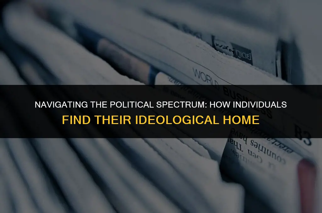 how do people choose their political affiliations