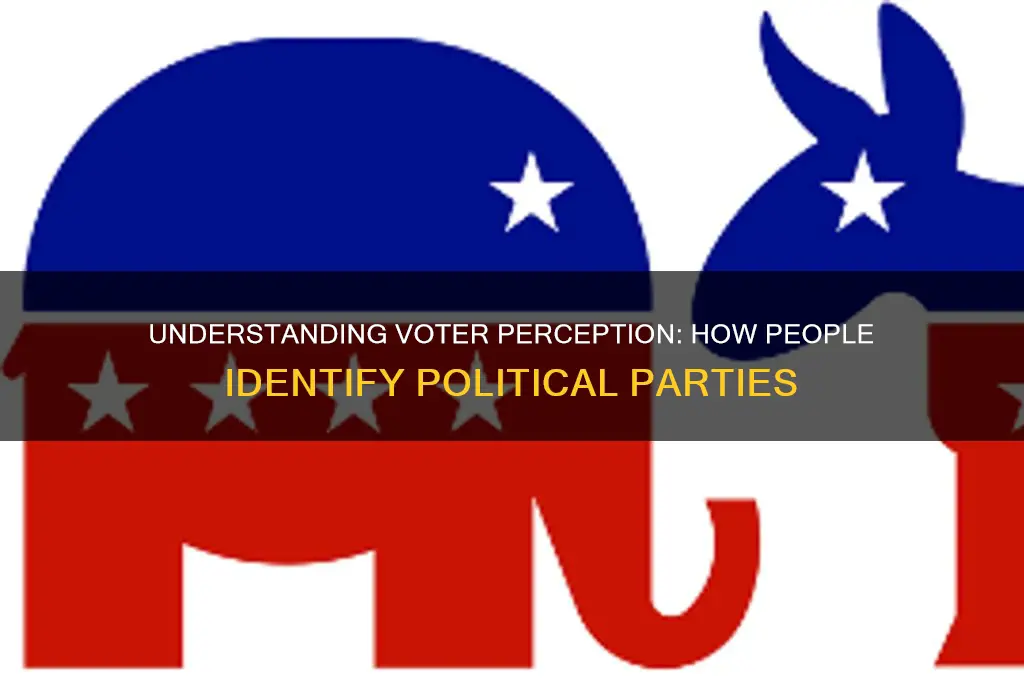 how do people tend to idetify political parties