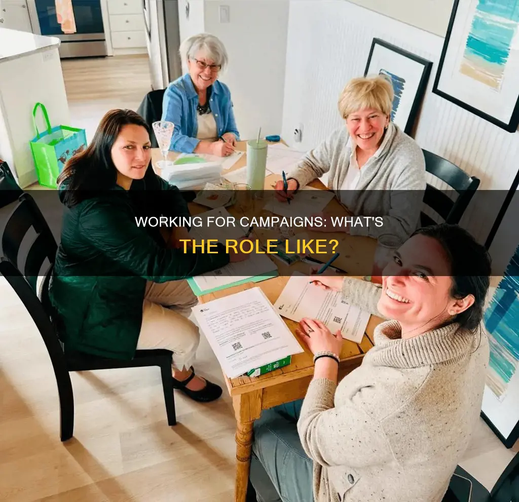 how do people work for political campaigns