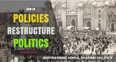 How Policies Reshape Political Landscapes and Power Dynamics