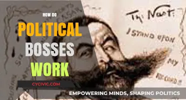 Understanding Political Bosses: Power, Influence, and Behind-the-Scenes Control