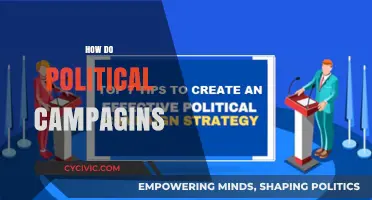 Mastering Political Campaigns: Strategies, Tactics, and Winning Techniques Explained