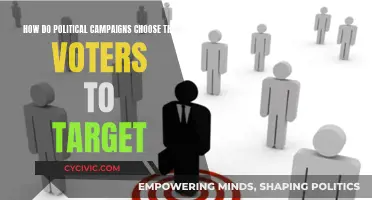 Political Campaigns: Targeting Voters for Maximum Impact
