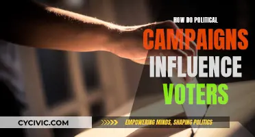 Political Campaigns: Influencing Voters, Strategies Revealed
