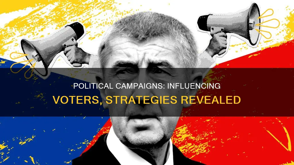 how do political campaigns influence voters