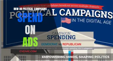 Political Ad Spending: How Campaigns Strategize Their Budgets