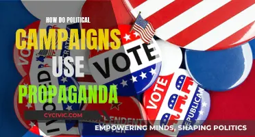 Political Propaganda: Campaign Strategies and Mind Control