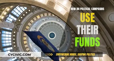 Political Campaign Spending: Where Does the Money Go?